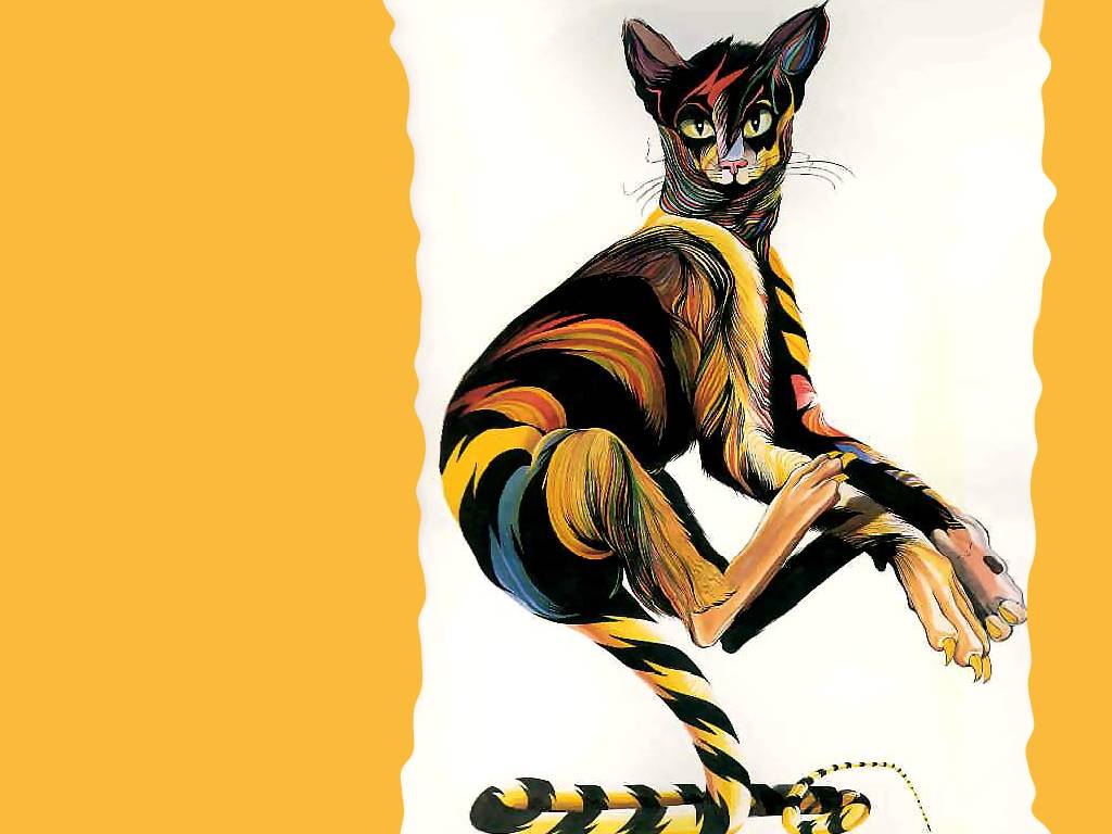 catgrafika_009.jpg