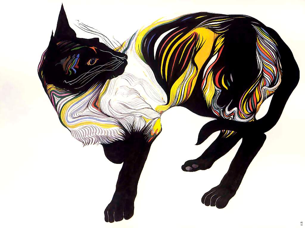 catgrafika_010.jpg
