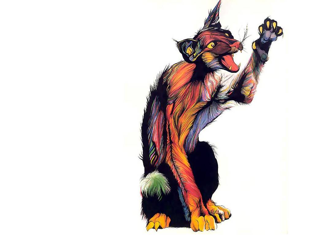 catgrafika_011.jpg