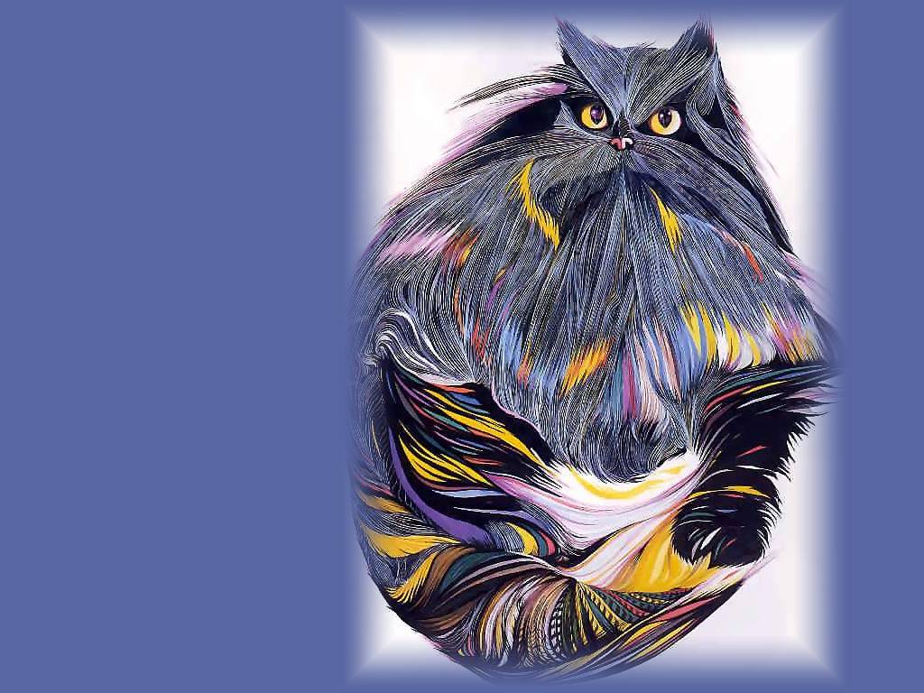 catgrafika_012.jpg