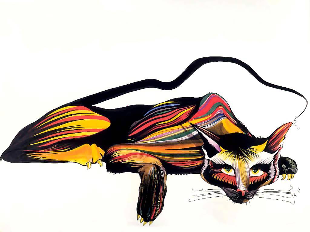 catgrafika_csg003.jpg