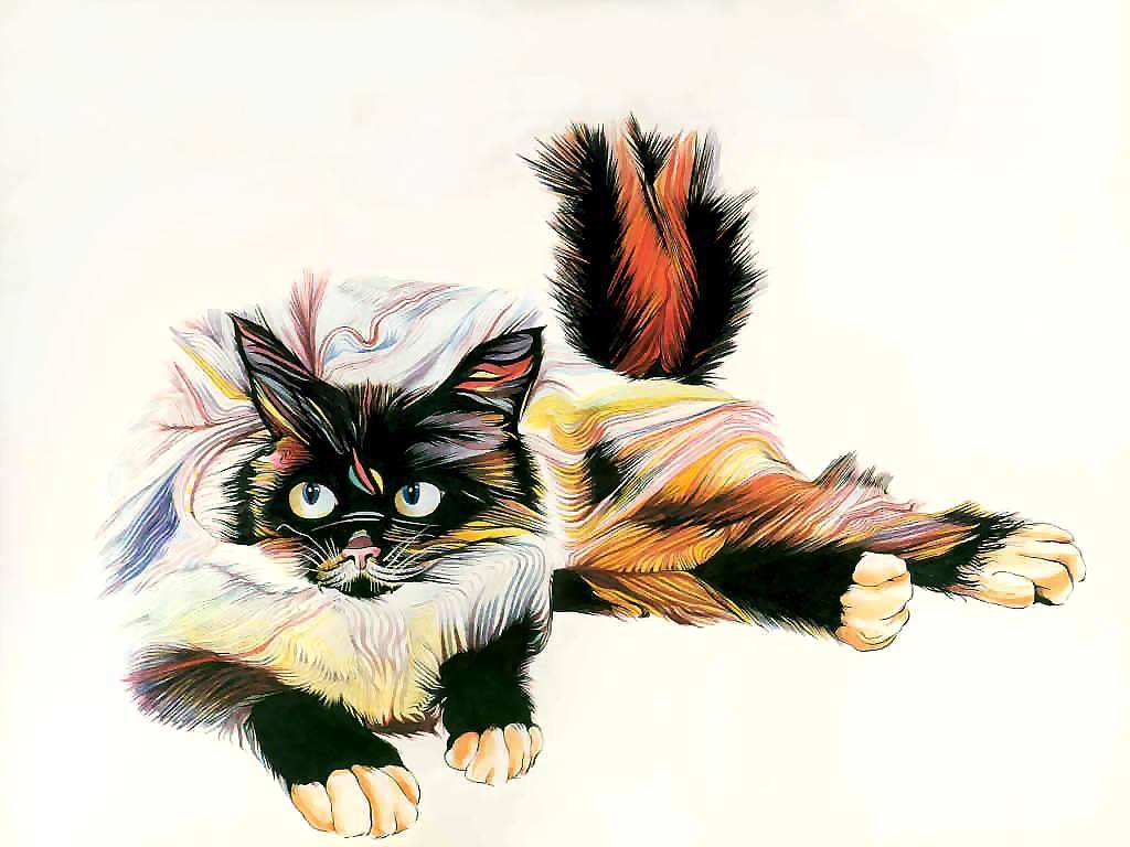 catgrafika_csg004.jpg