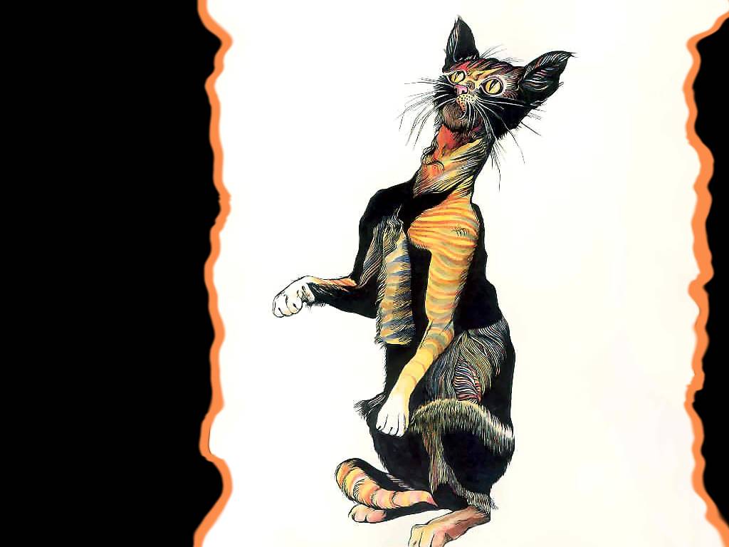 catgrafika_csg006.jpg