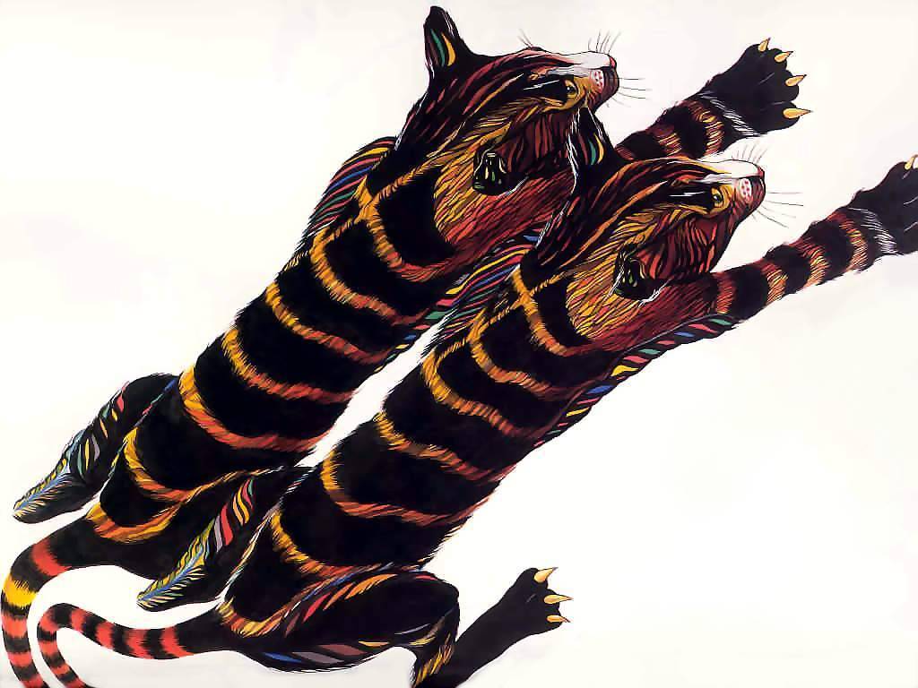 catgrafika_csg008.jpg