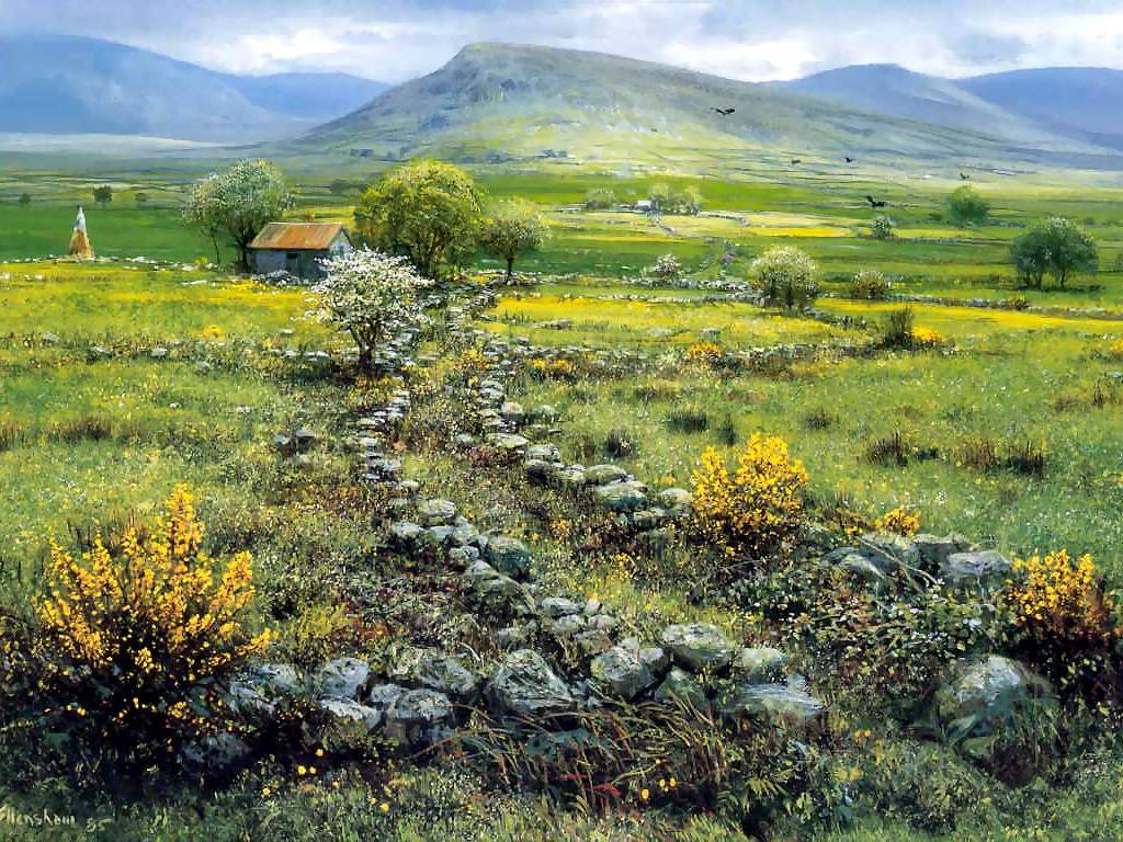county_mayo_ireland.jpg
