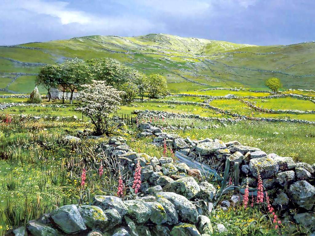 fox_hill_mayo_ireland.jpg