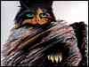 catgrafika_002.jpg