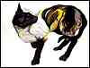 catgrafika_010.jpg