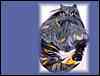 catgrafika_012.jpg