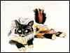 catgrafika_csg004.jpg