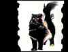 catgrafika_csg005.jpg