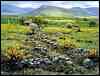 county_mayo_ireland.jpg