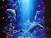 JLM-Kagaya-Pisces.jpg