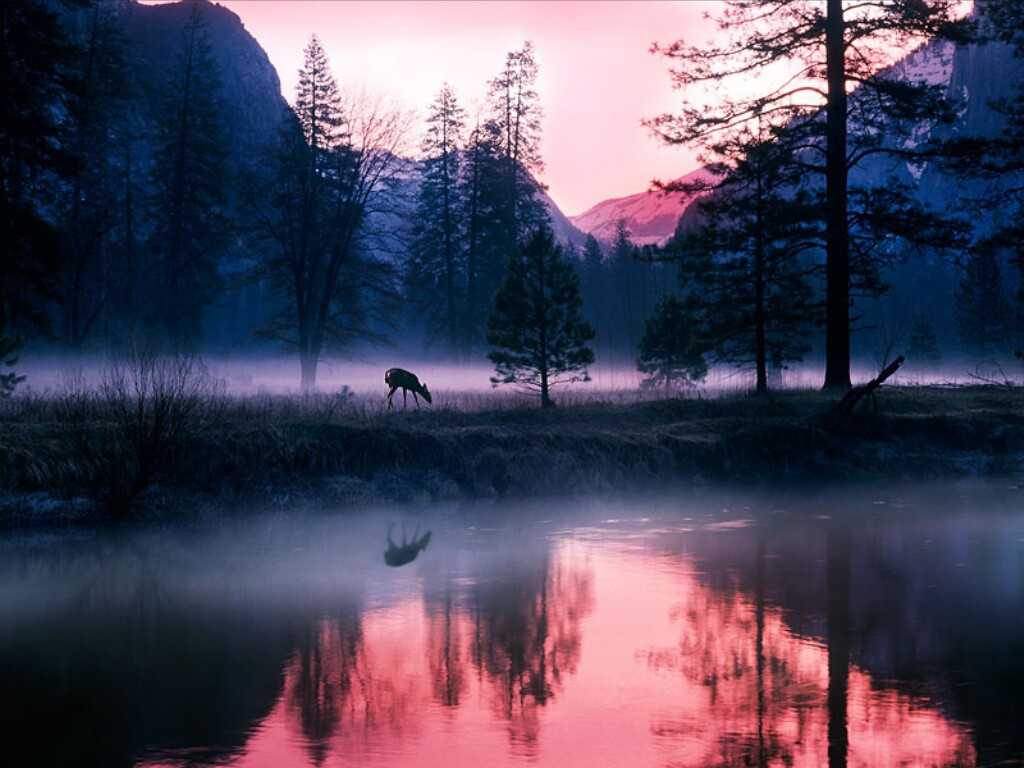 Mystical Waters, California.jpg