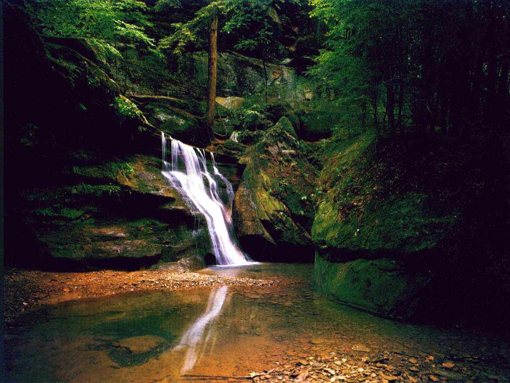 Ohio-Hocking Forest.jpg