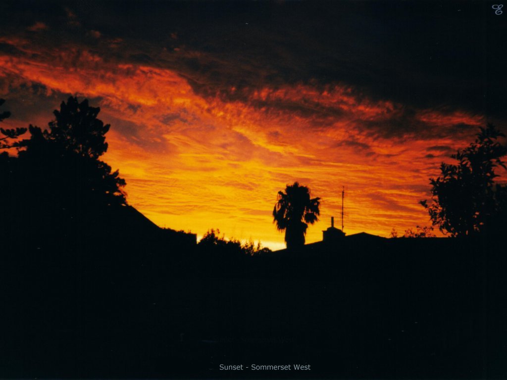 SA01.jpg