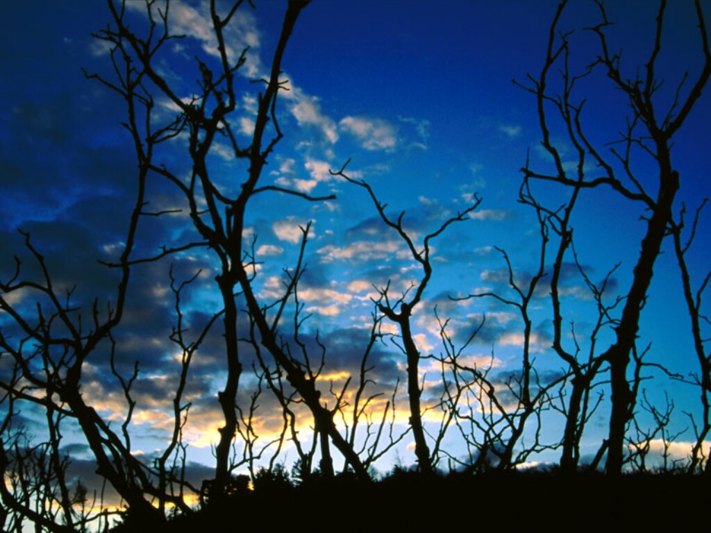 Sunrise, Colorado.jpg