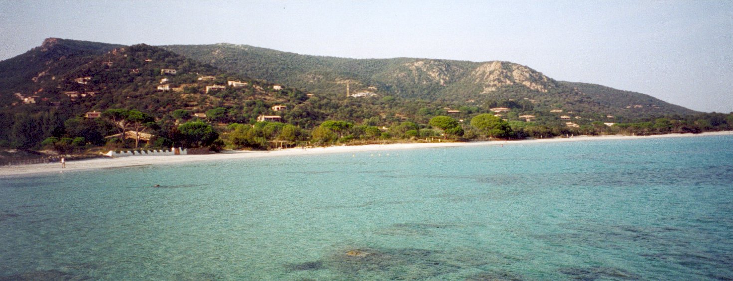 palongia3.jpg