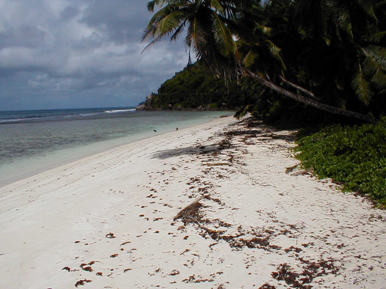seychelles 9.JPG