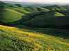 Rolling_Hills.JPG
