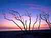Sunrise , Floride.jpg