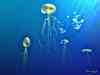 jellyfish2.jpg